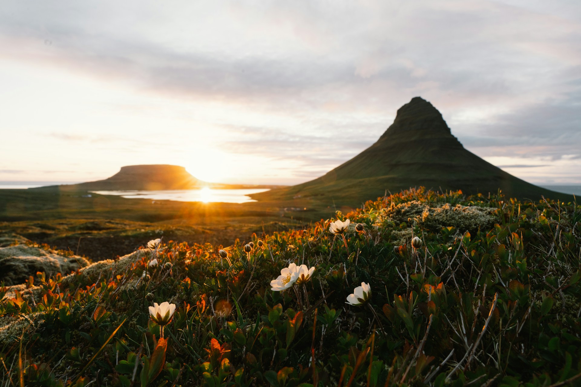 Midnight Sun Fatigue